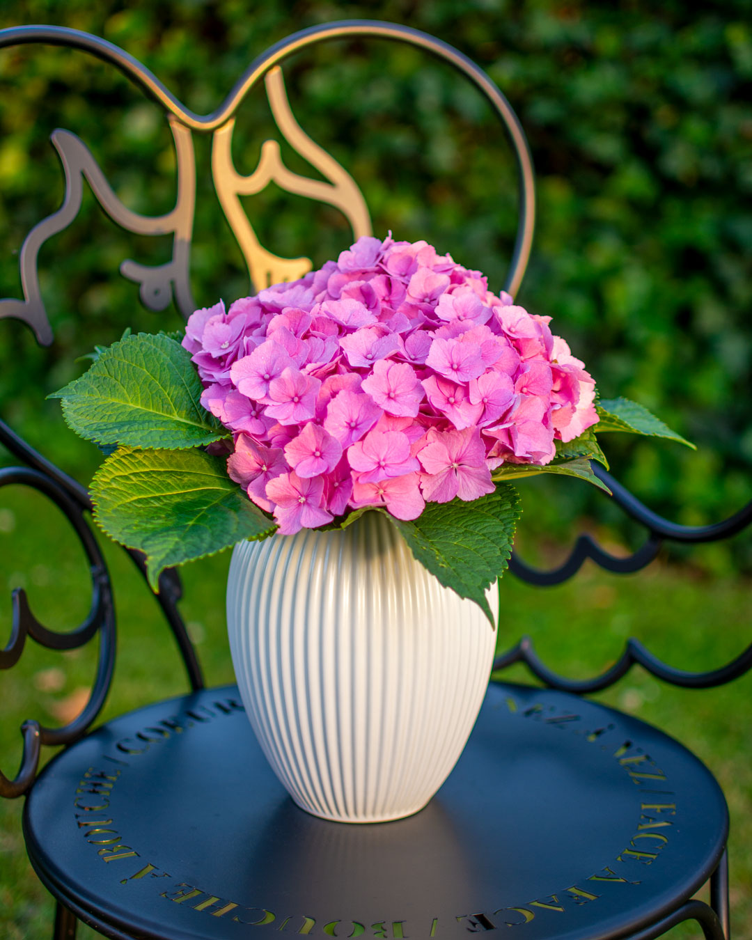 Hvid vase fra Michael Andersen Keramik Model 4767 med pink hortensia på sort Fermob englestol i have