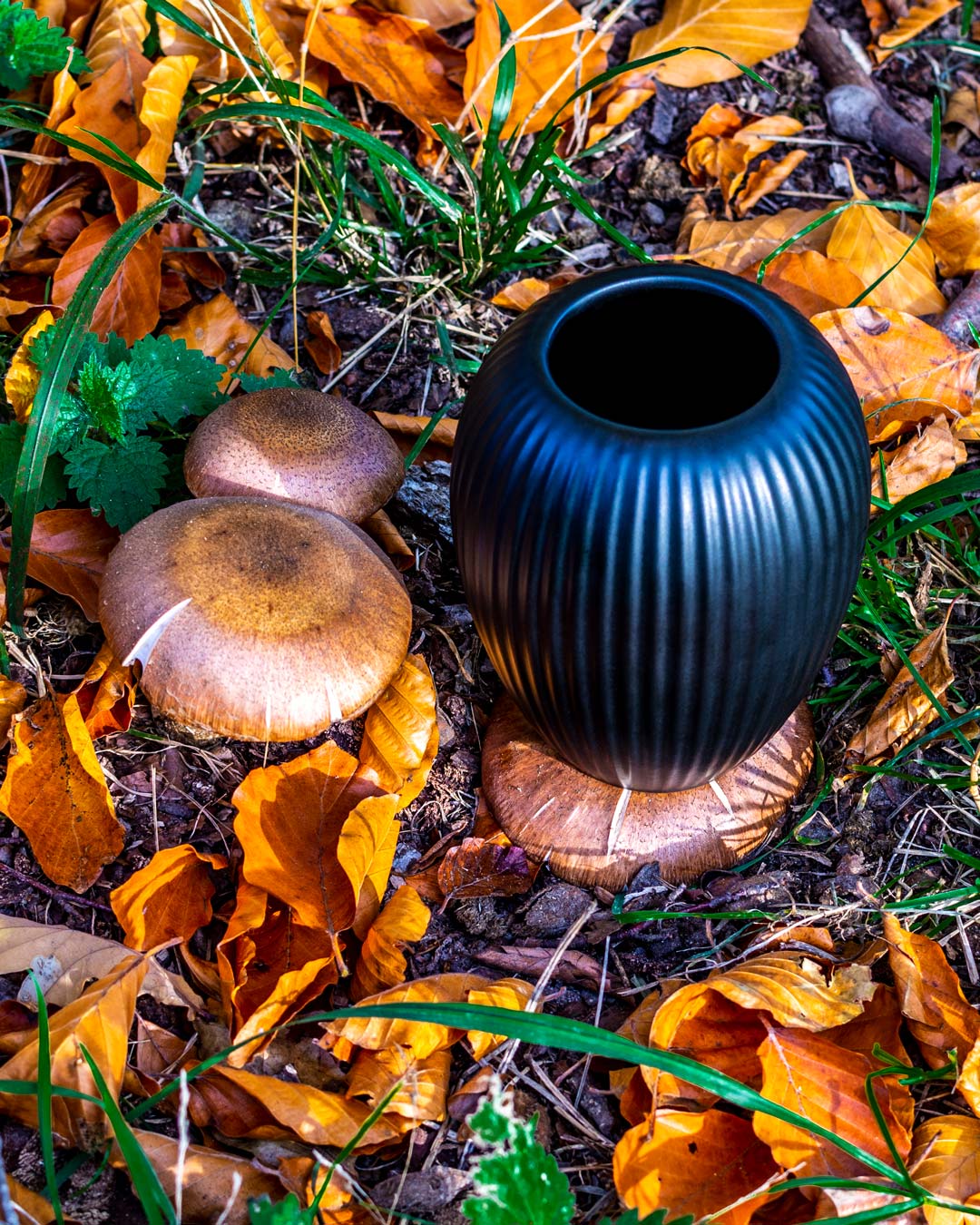 Lille sort vase fra Michael Andersen Keramik Model 4767 på svampe i skovbund