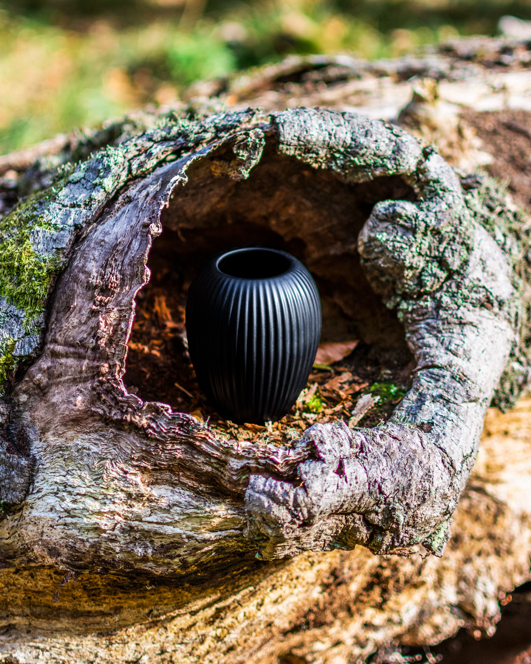 Lille sort vase fra Michael Andersen Keramik inde i træstamme der ligner et øje fra Dyrehaven