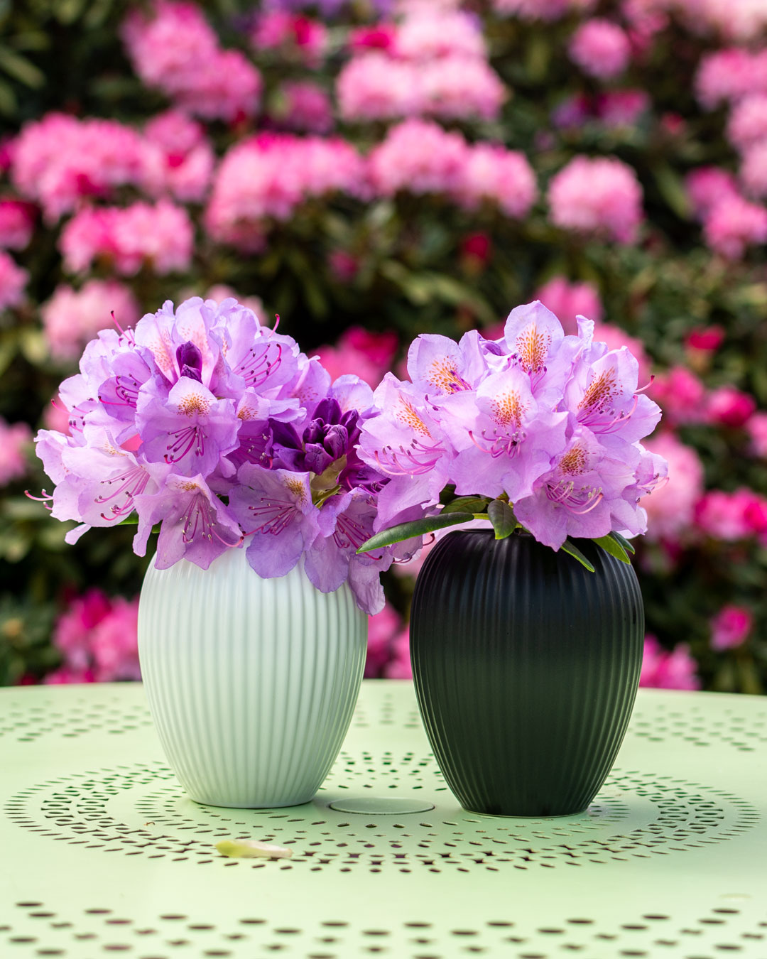 Lille sort og lille hvid vase fra Michael Andersen Keramik med rhododendron blomster foran stor rhododendron i haven på lysegrønt havevbord